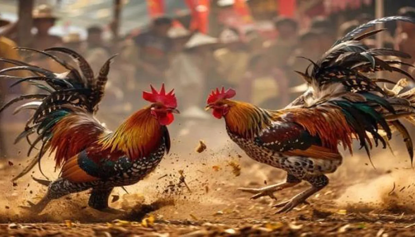 tg777 Com Security and Fair Play